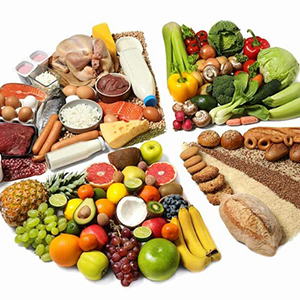 تاریخچه رژیم غذایی و انواع آن